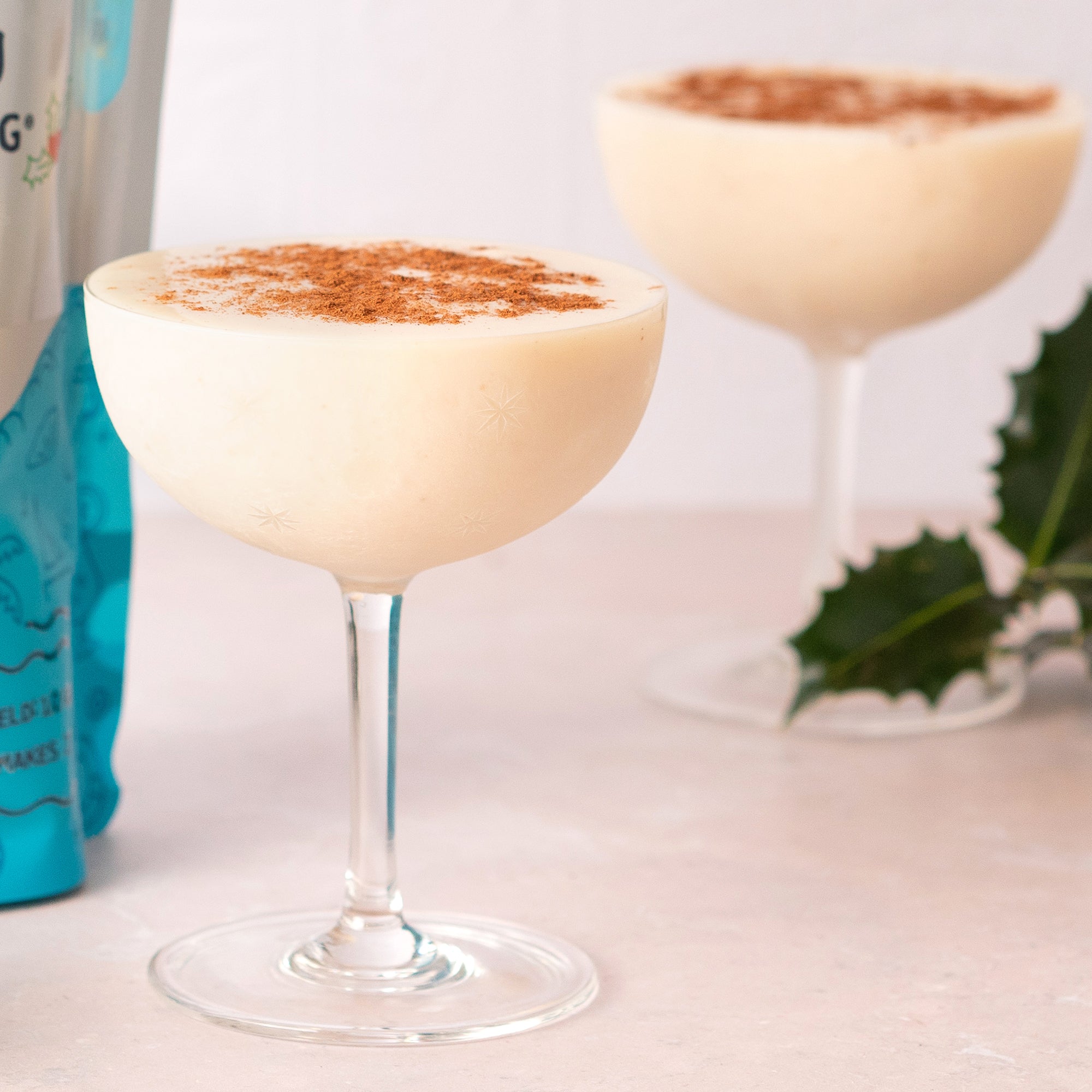 Eggnog in a Bag – Lieutenant Blender Cocktail Mixes